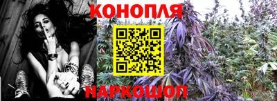 шишки Кунгур