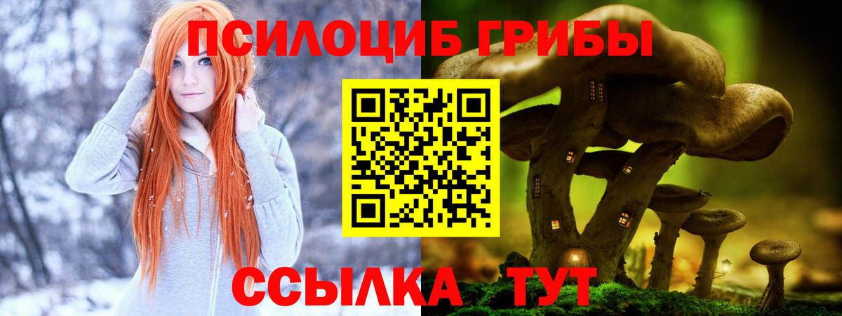 Галлюциногенные грибы мухоморы Нарьян-Мар