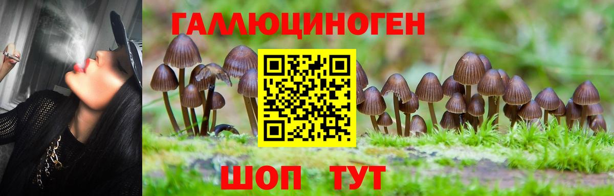 Псилоцибиновые грибы прущие грибы  Вход с VPN  Нарьян-Мар 